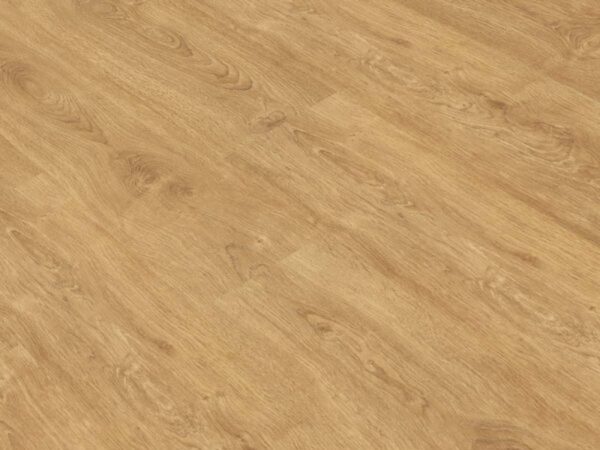 Suelo laminado GOLD LAMINATE Pro800 AC5 - Image 8