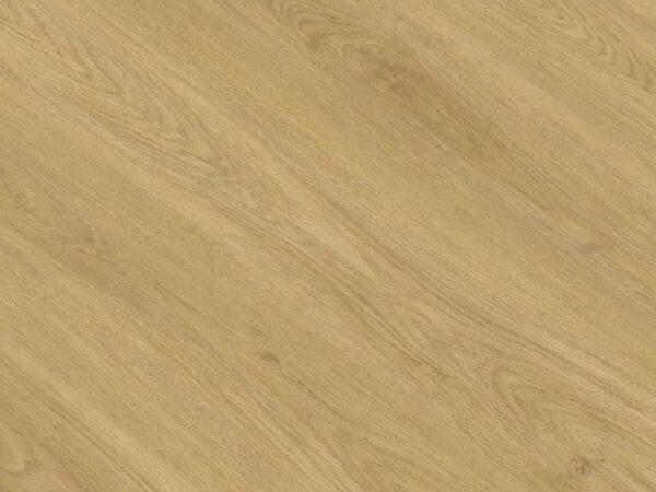 Suelo laminado  GOLD LAMINATE PRODIAMONT AC6 8mm - Image 7