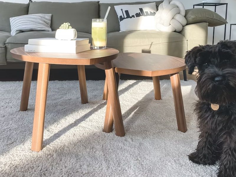 Instalación de moqueta en Valencia